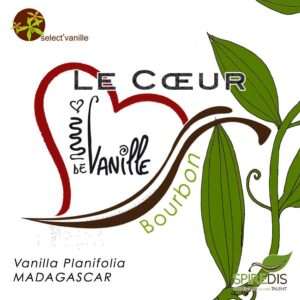Coeur de vanille Bourbon Madagascar